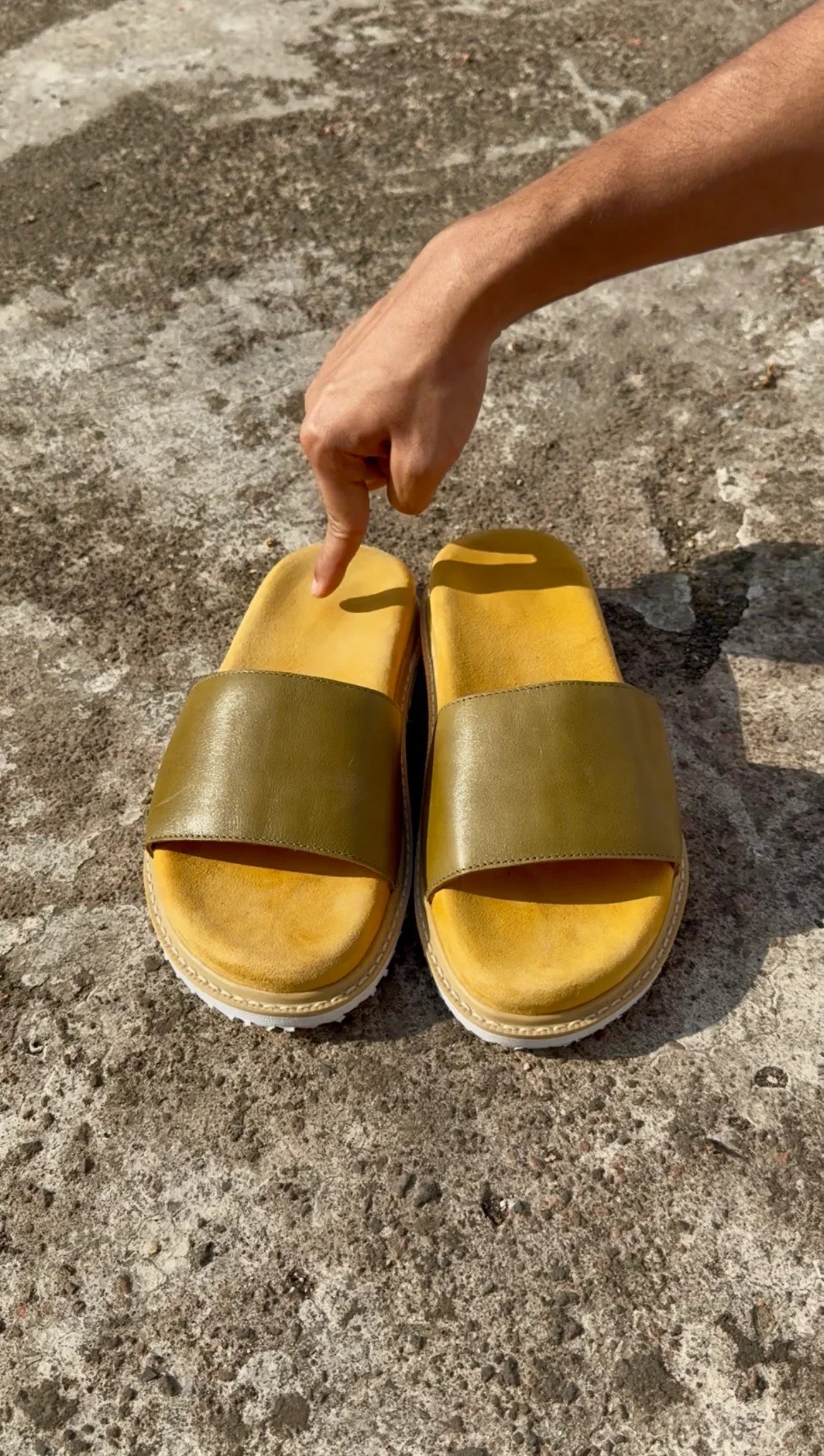 Olive Slides