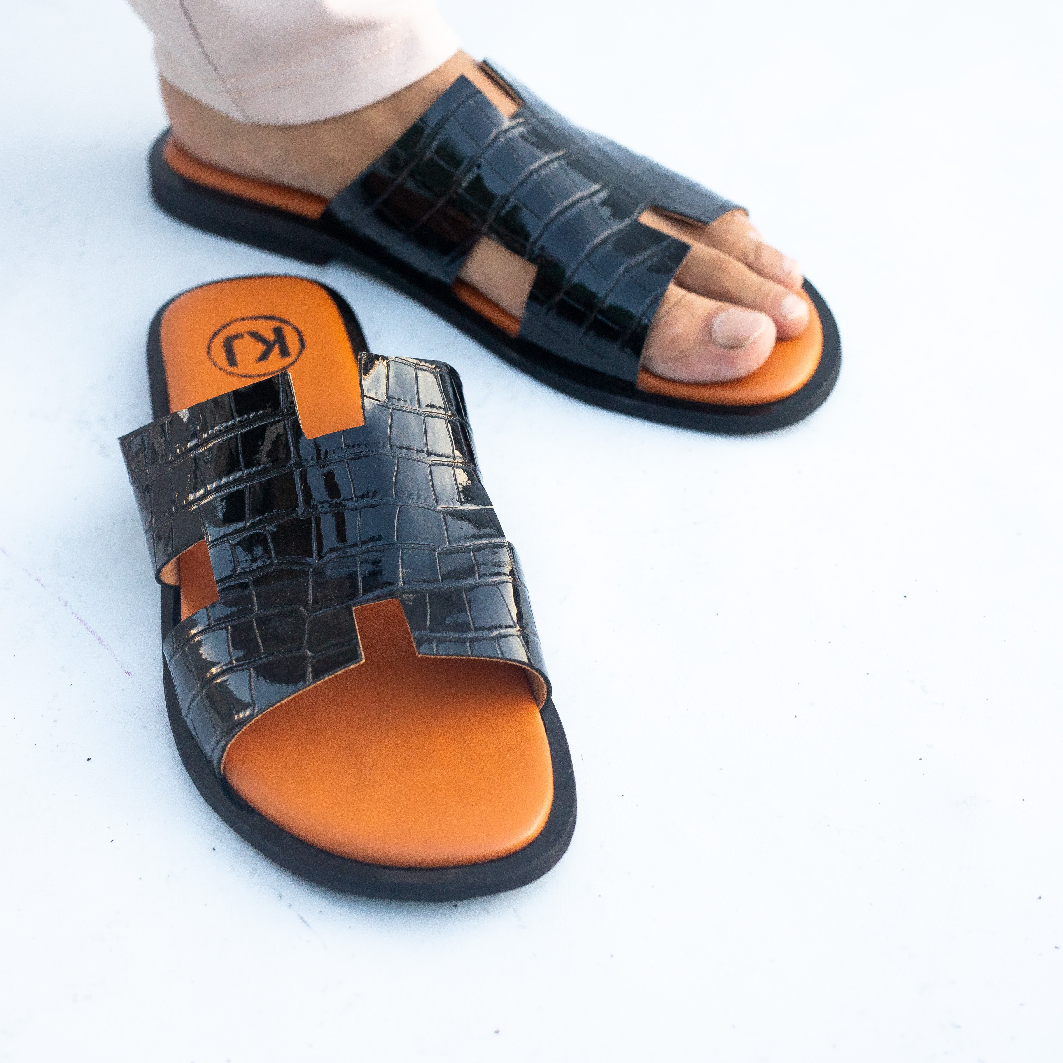 DARWIN H Slides
