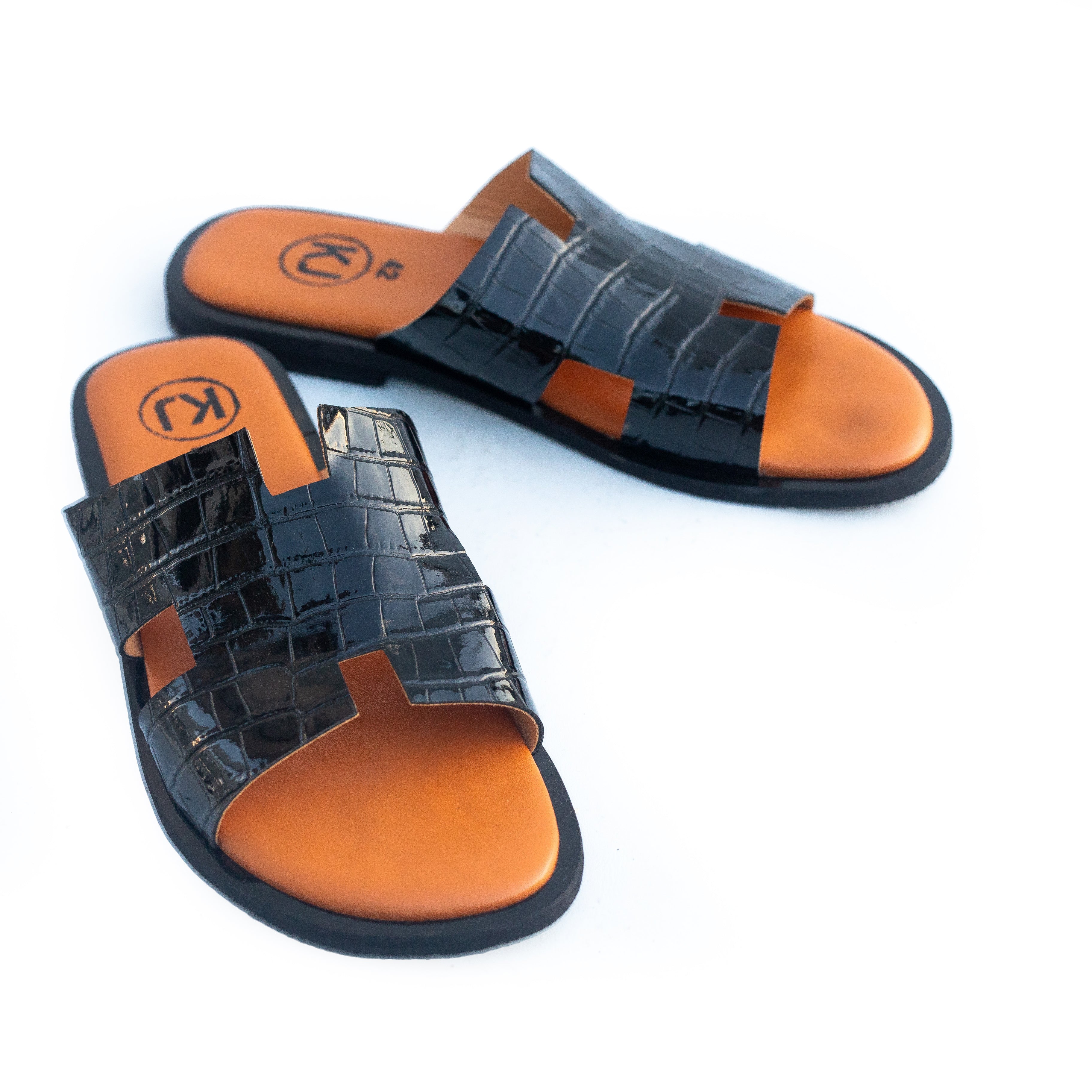 DARWIN H Slides