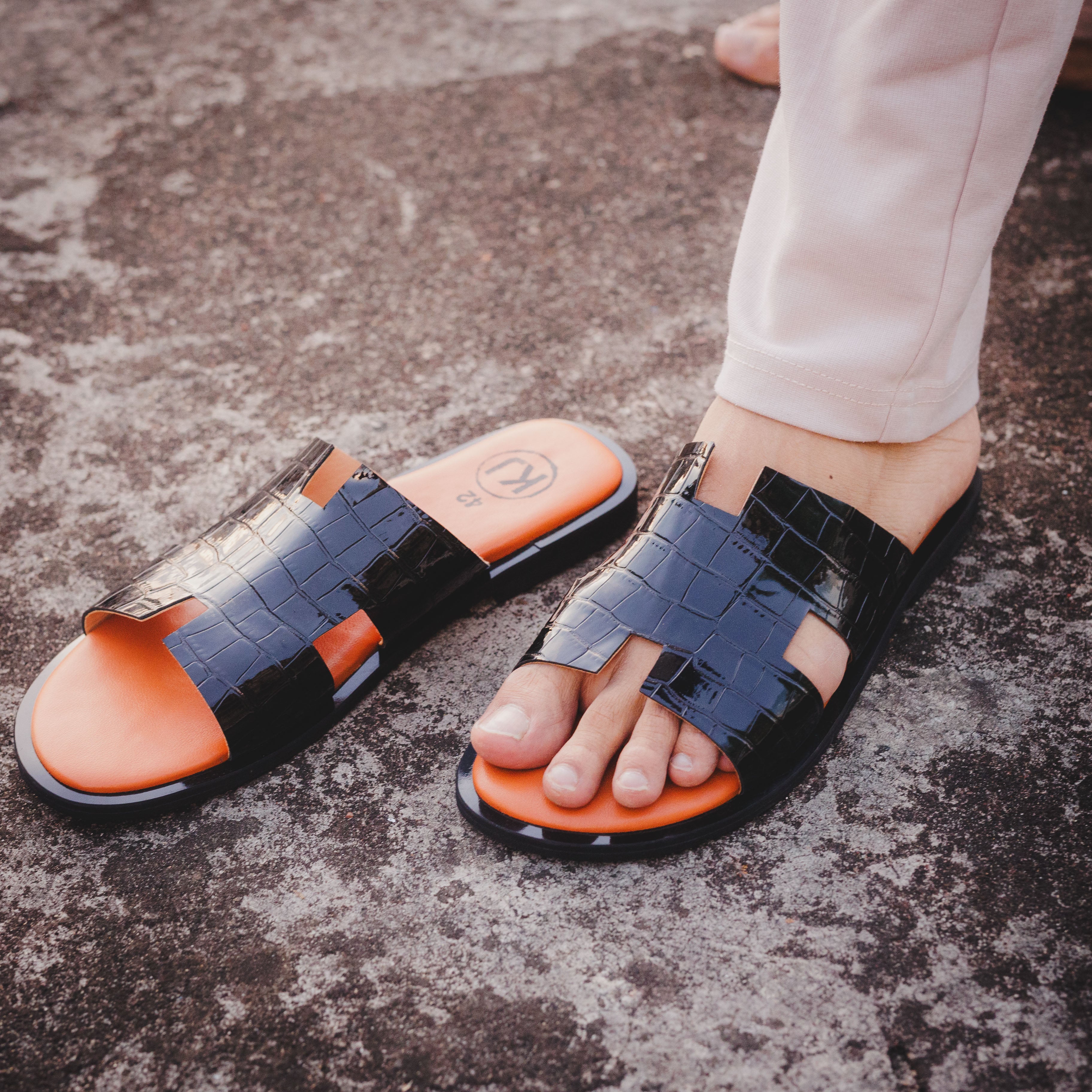 DARWIN H Slides